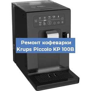 Чистка кофемашины Krups Piccolo KP 100B от кофейных масел в Екатеринбурге
